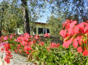 Agriturismo Green House, Santo Stefano Al Mare